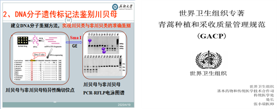 黄色漫画