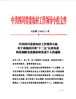 黄色漫画